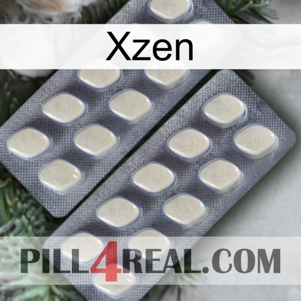 Xzen 07